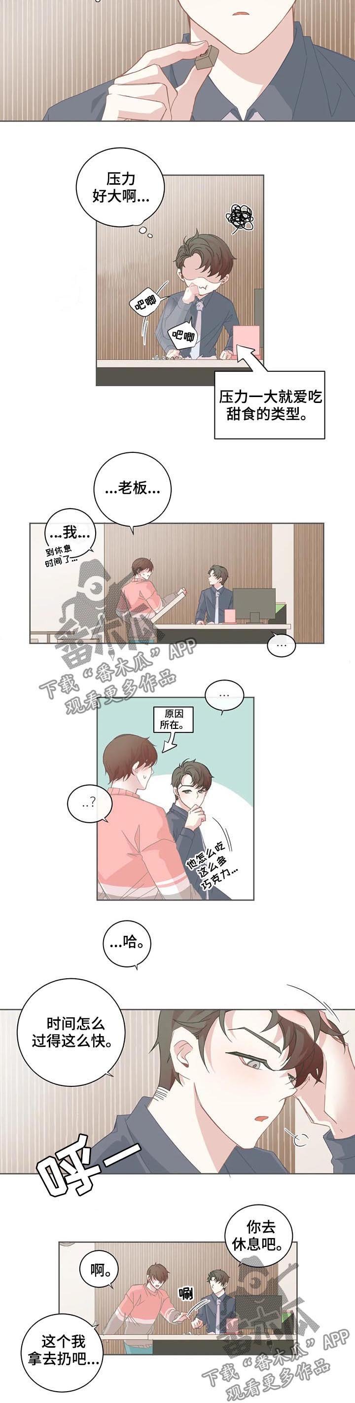 第53章：什么鬼