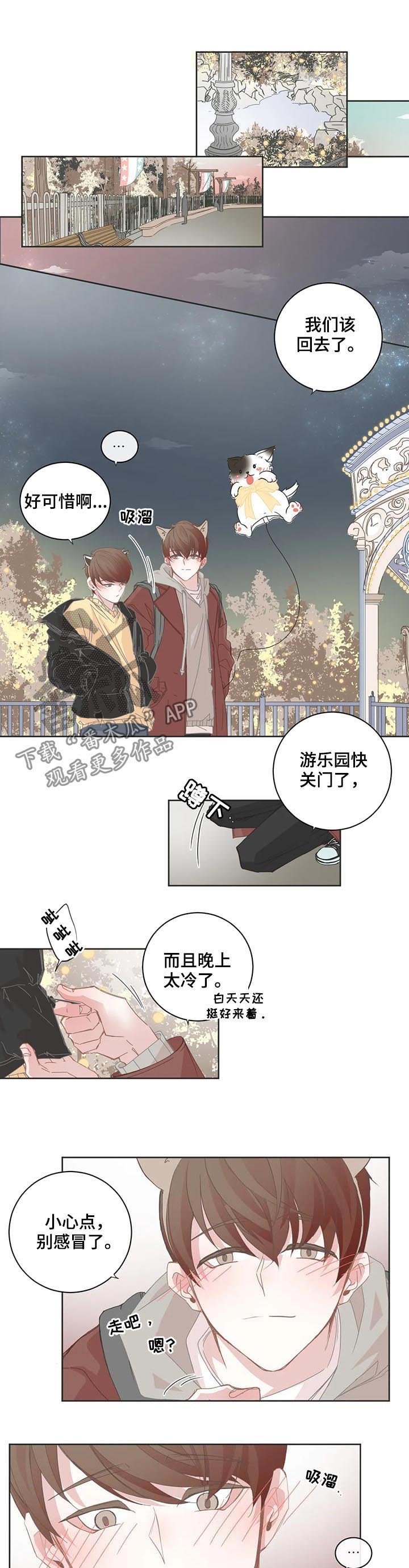 第64章：烟花