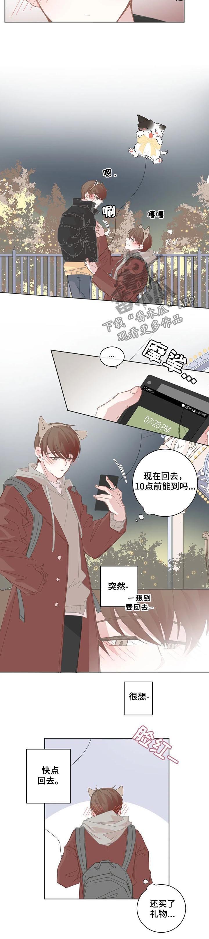 第64章：烟花
