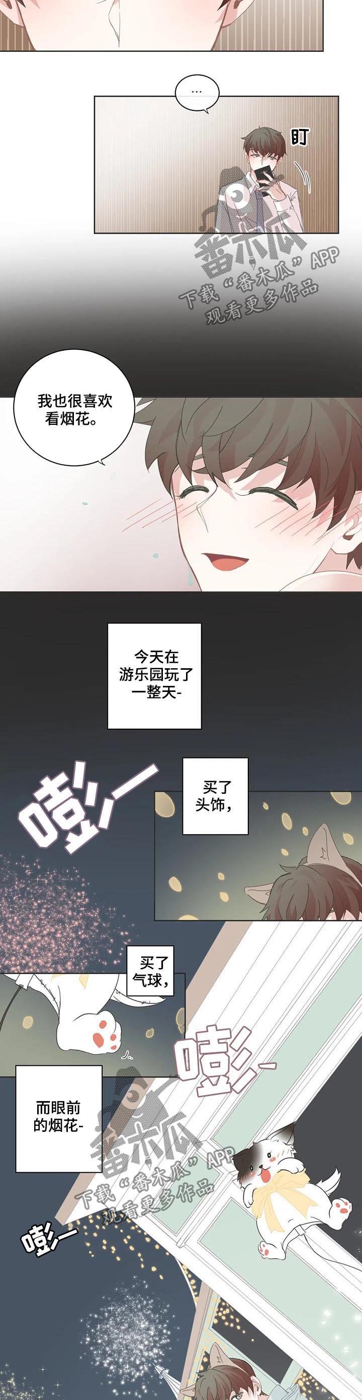 第64章：烟花