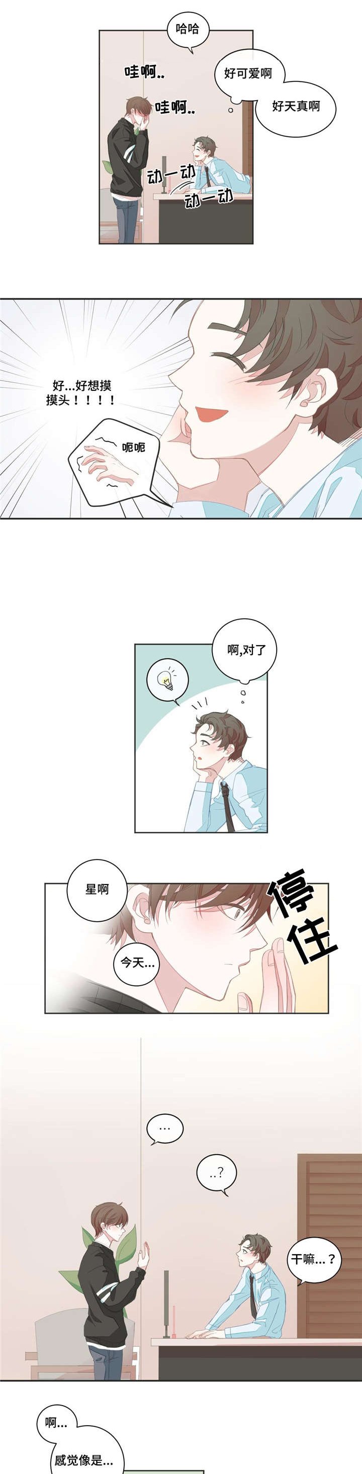 第7章：猜测