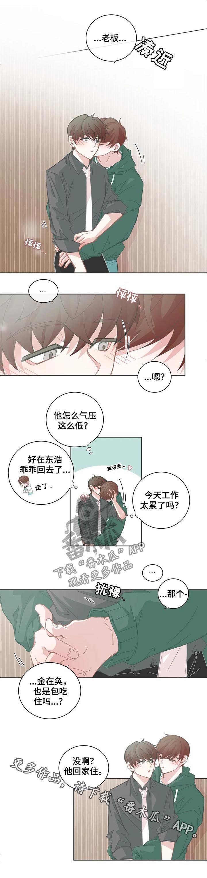 第81章：打击