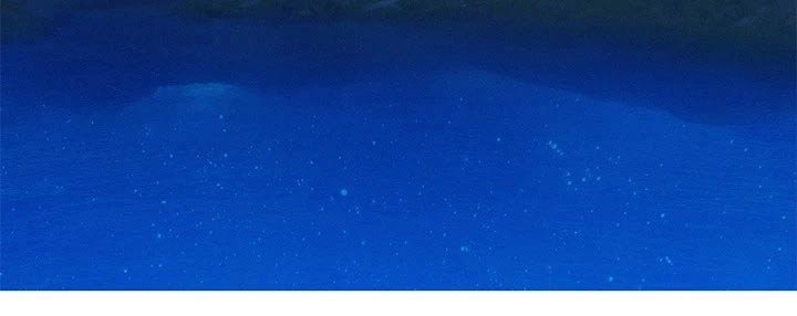 第207章：不同的爱