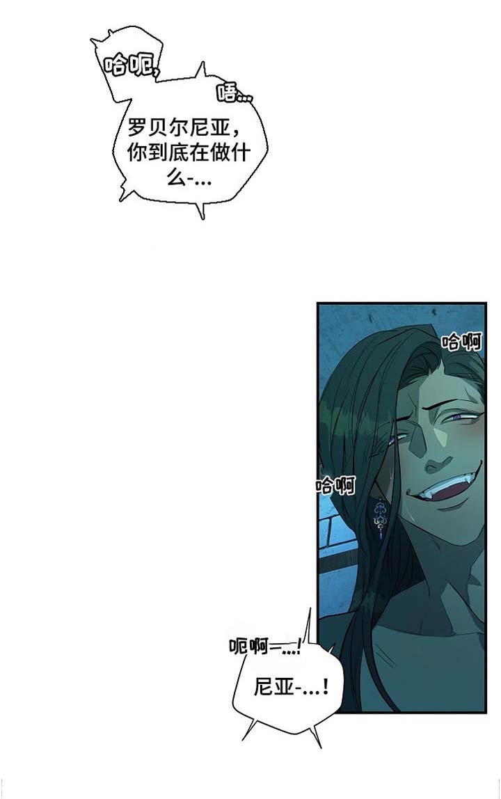 第19章：好奇的人