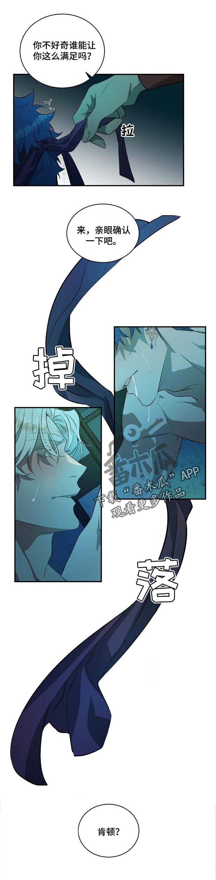 第19章：好奇的人