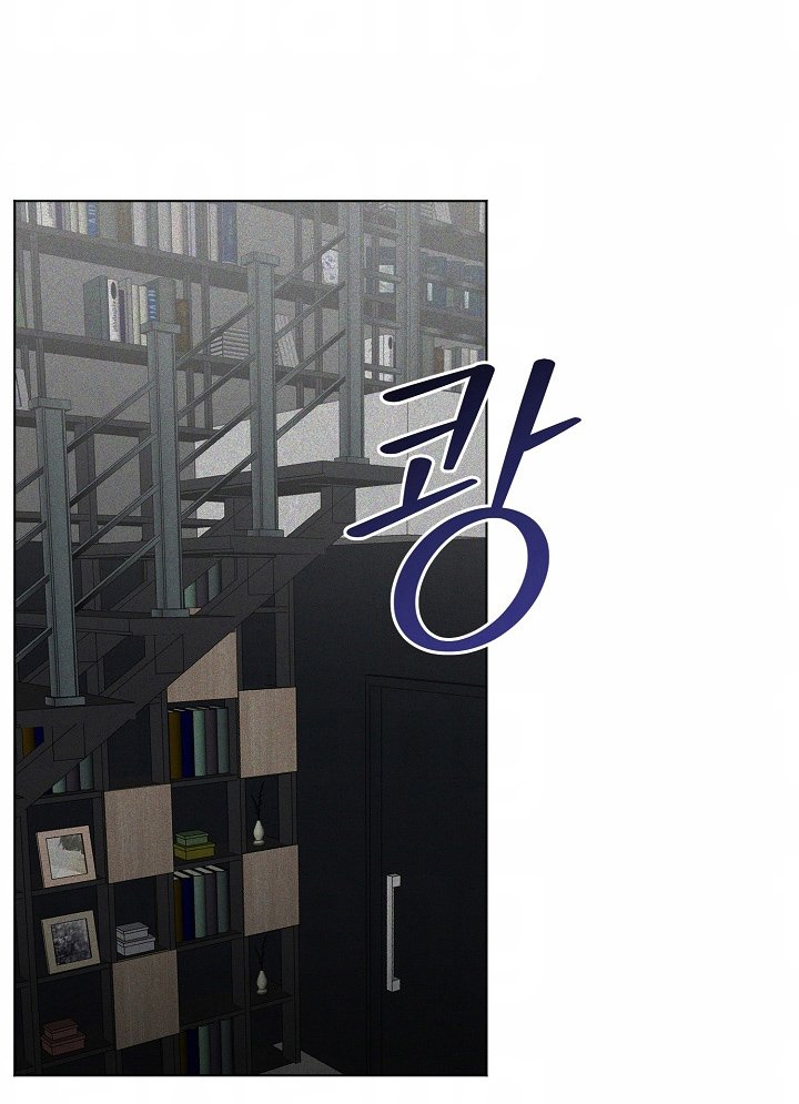 第2章：双胞胎