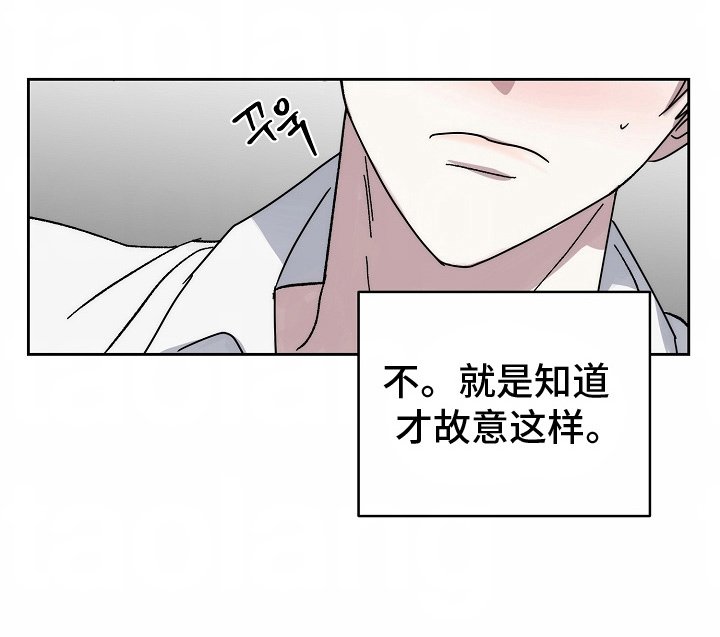 第3章：好主意