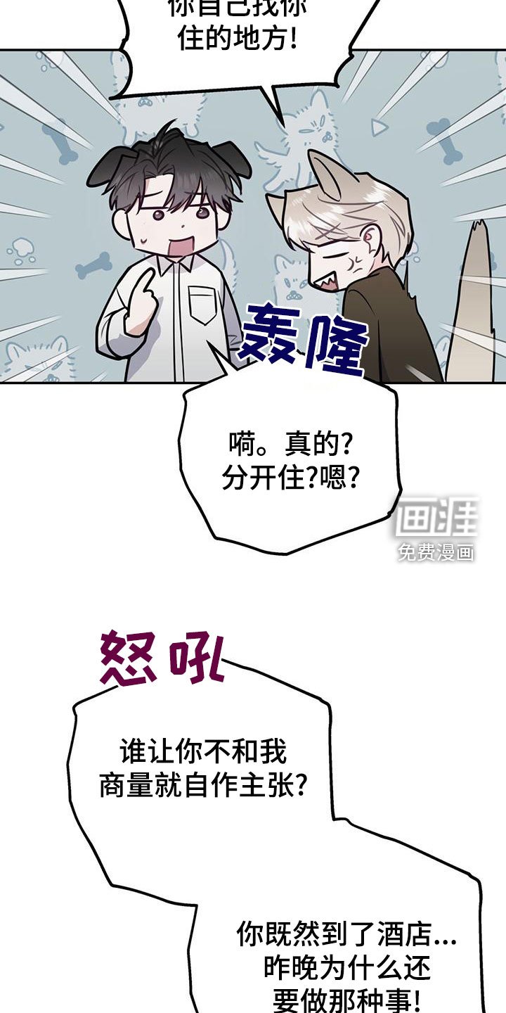第100章：【第二季】到白头（完结）