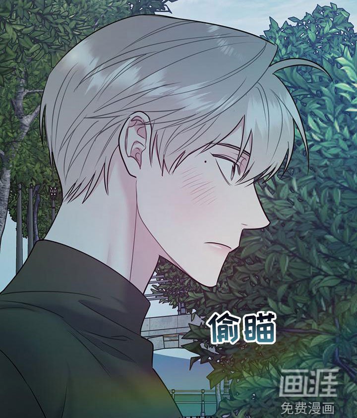 第100章：【第二季】到白头（完结）