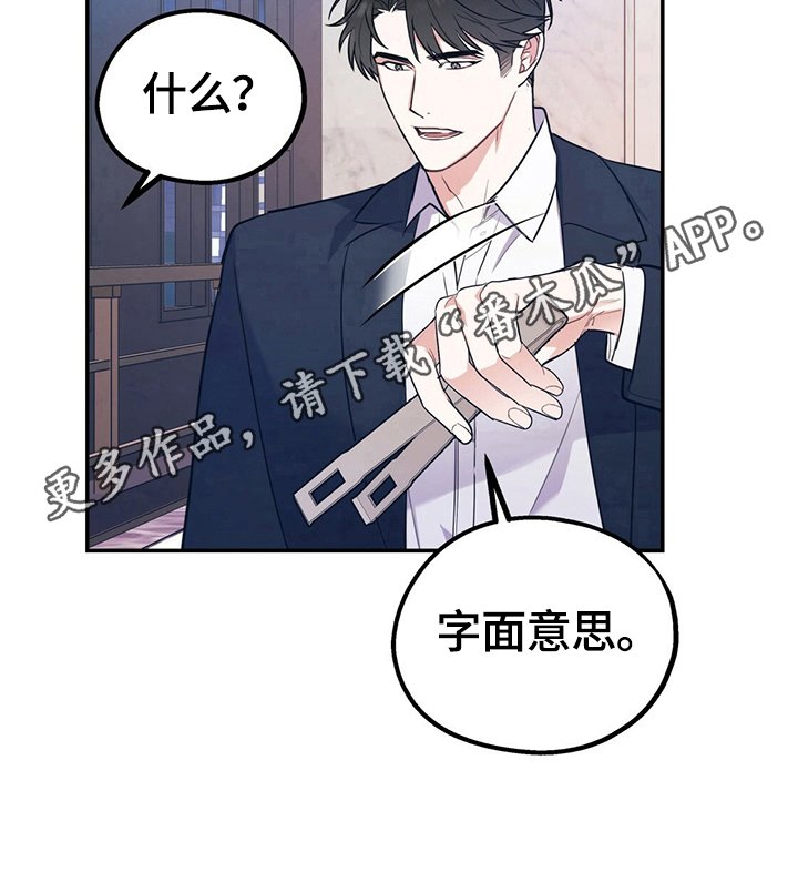 第16章：字面意思