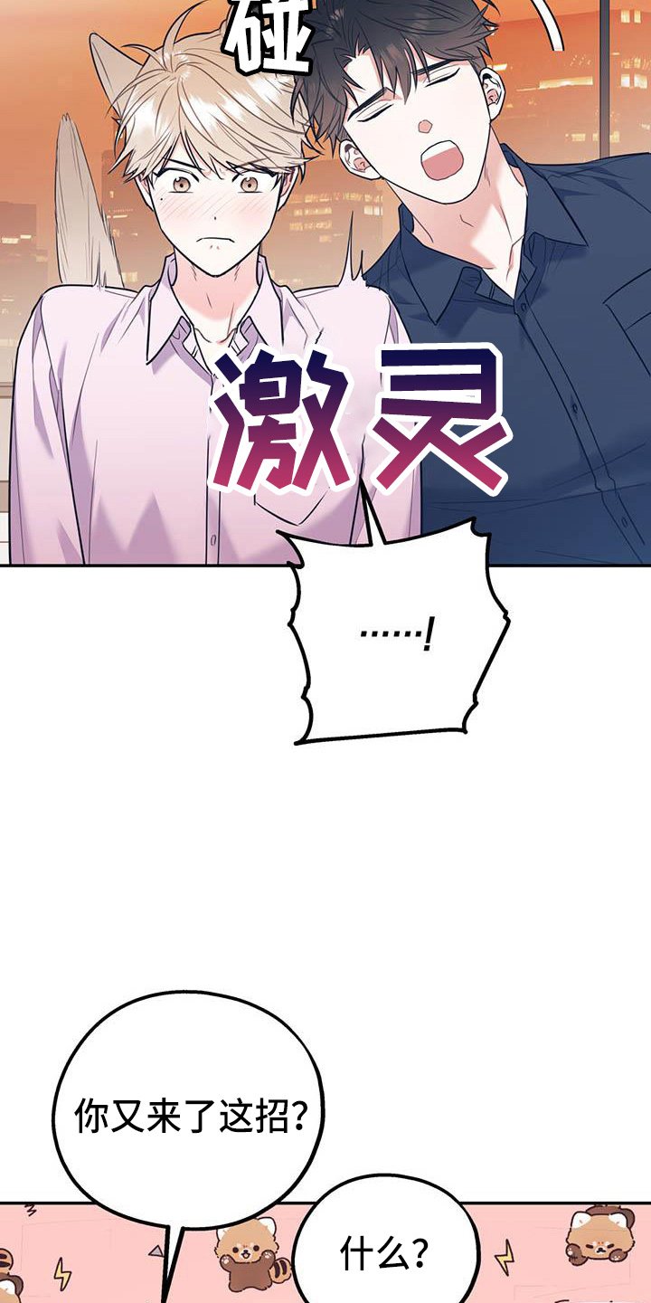 第63章：【第二季】对不起