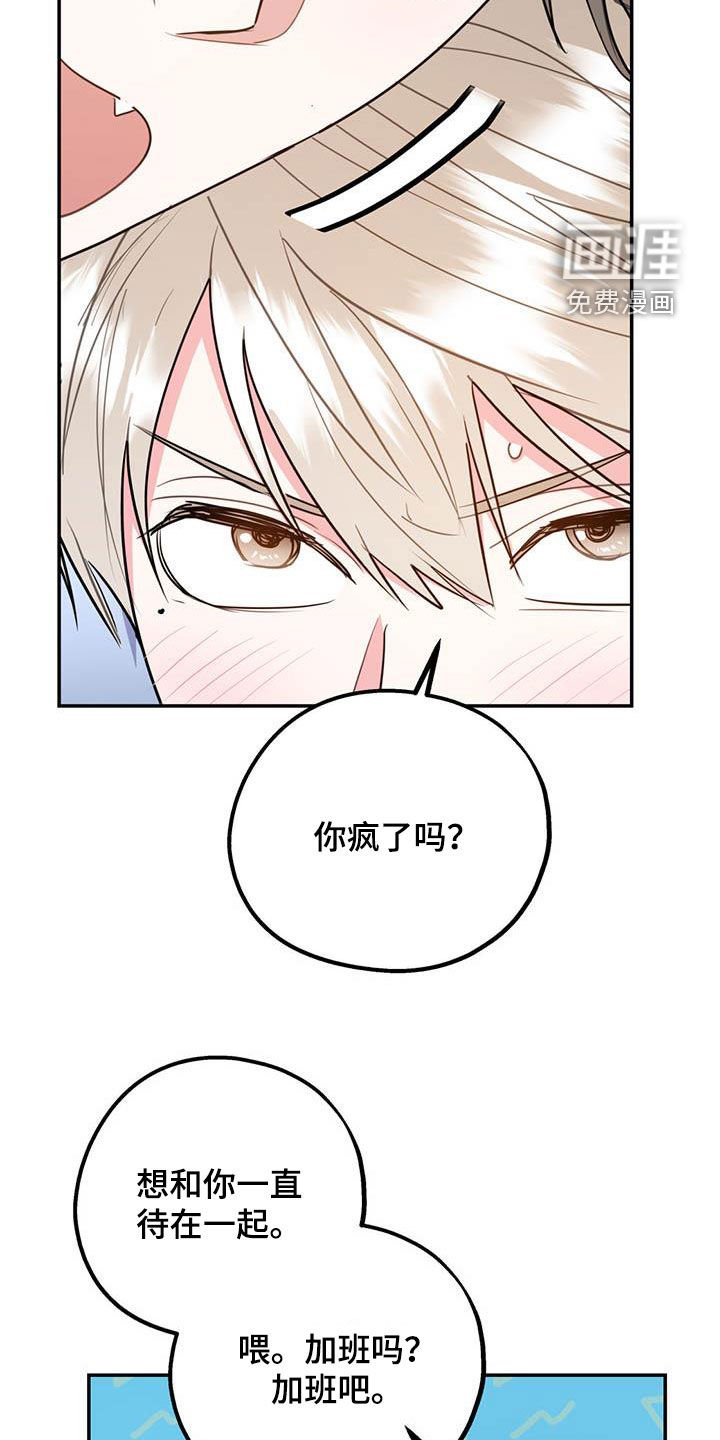 第72章：【第二季】计划