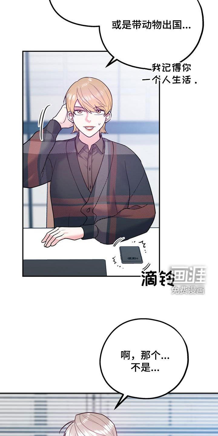 第81章：【第二季】好消息
