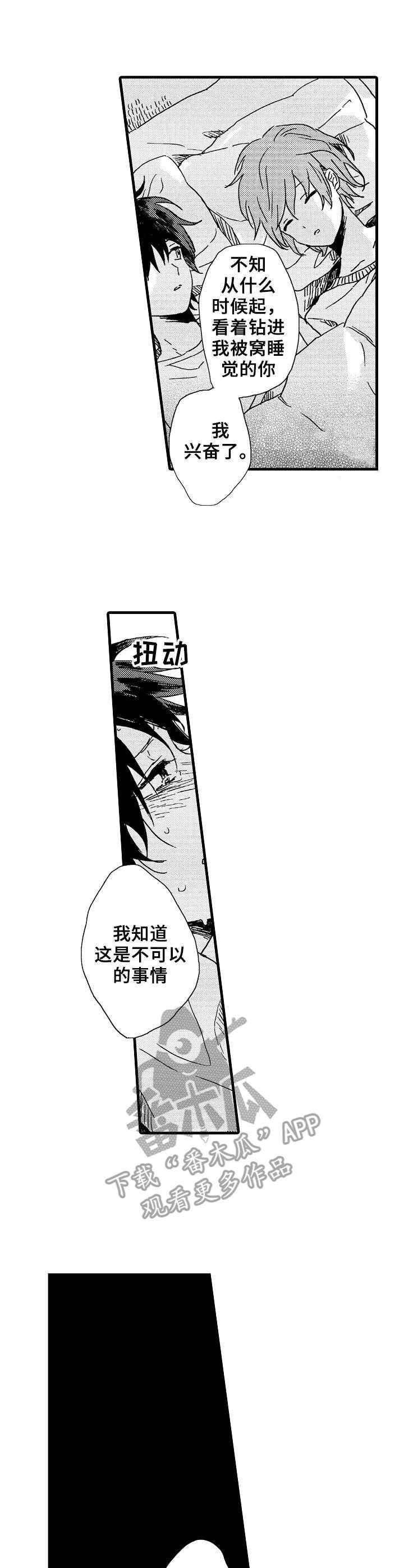 第29章：心声