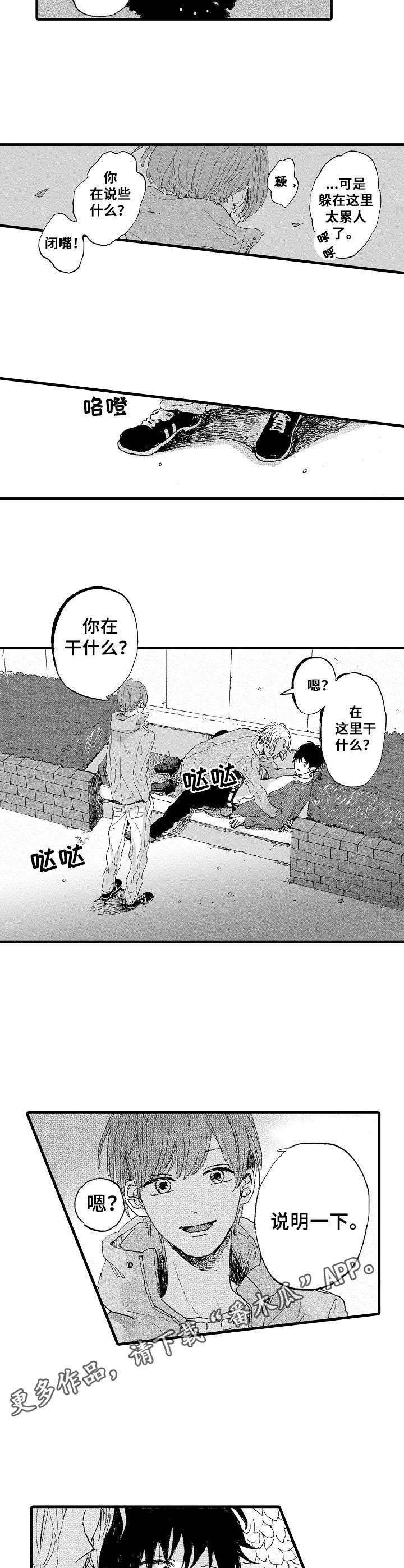 第5章：质问