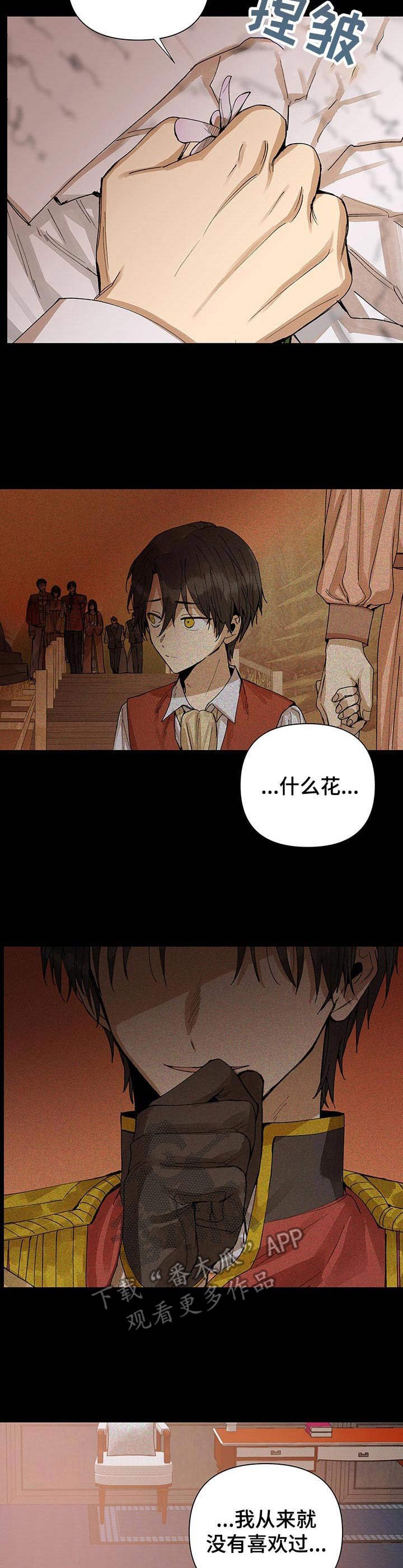 第20章：盛开的花（完结）