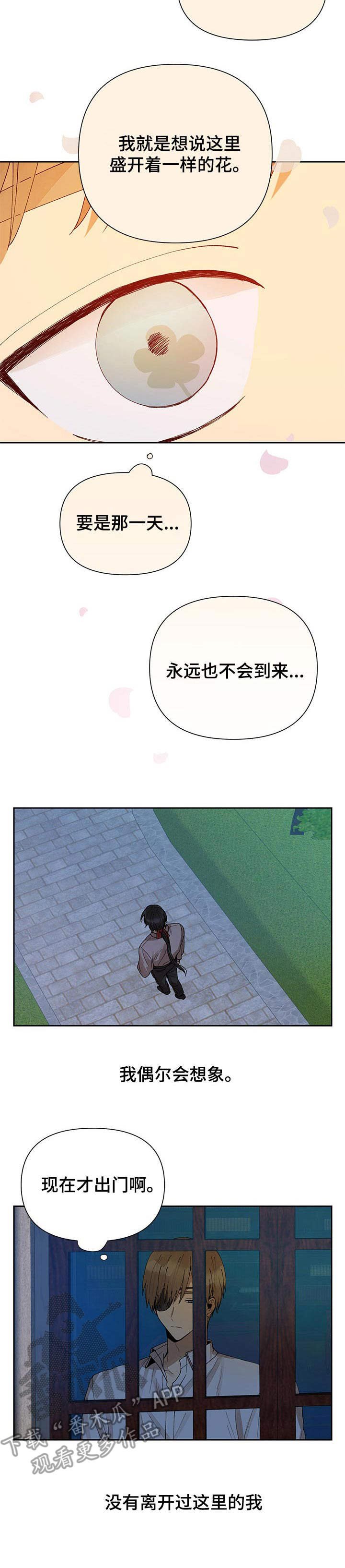 第8章：银莲花