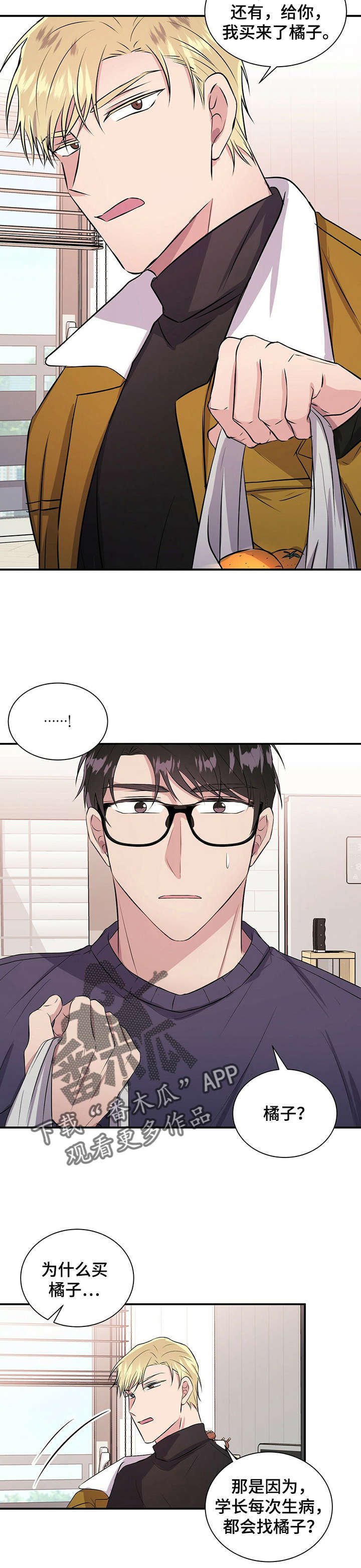 第28章：橘子