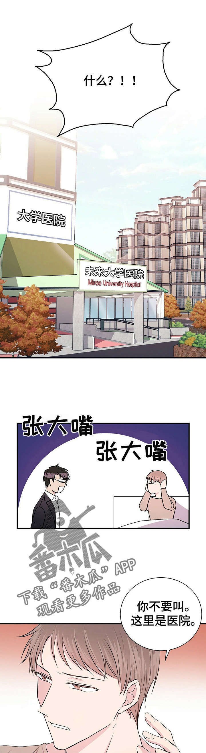 第5章：恋爱吧