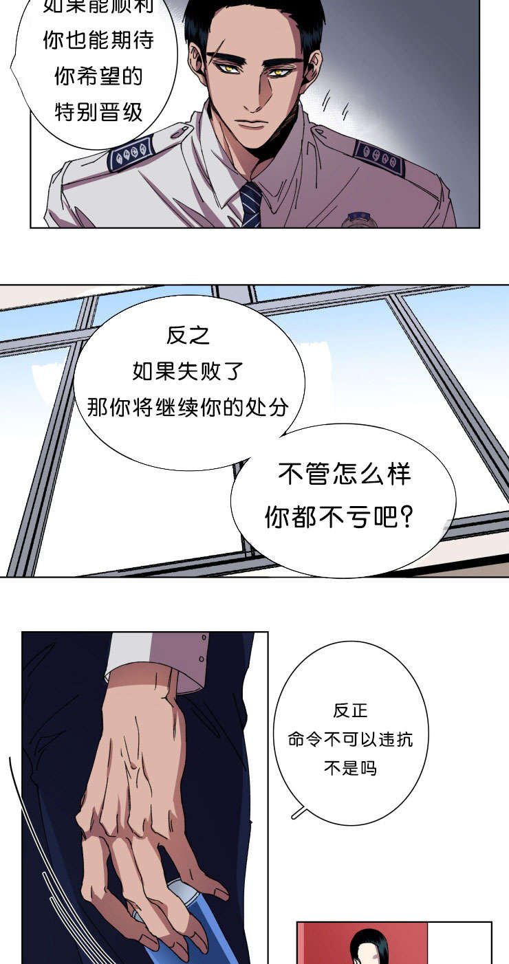 第11章：回归刑警科