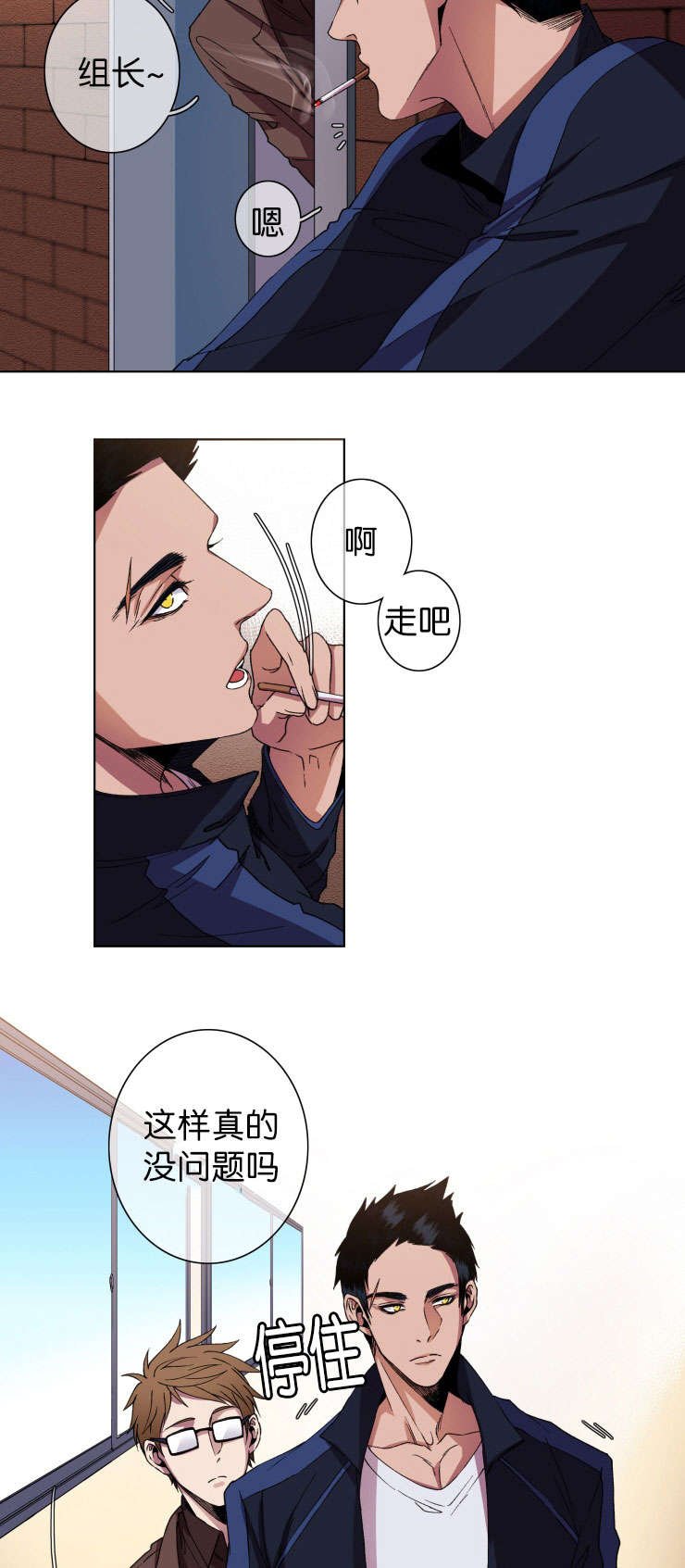 第14章：询问