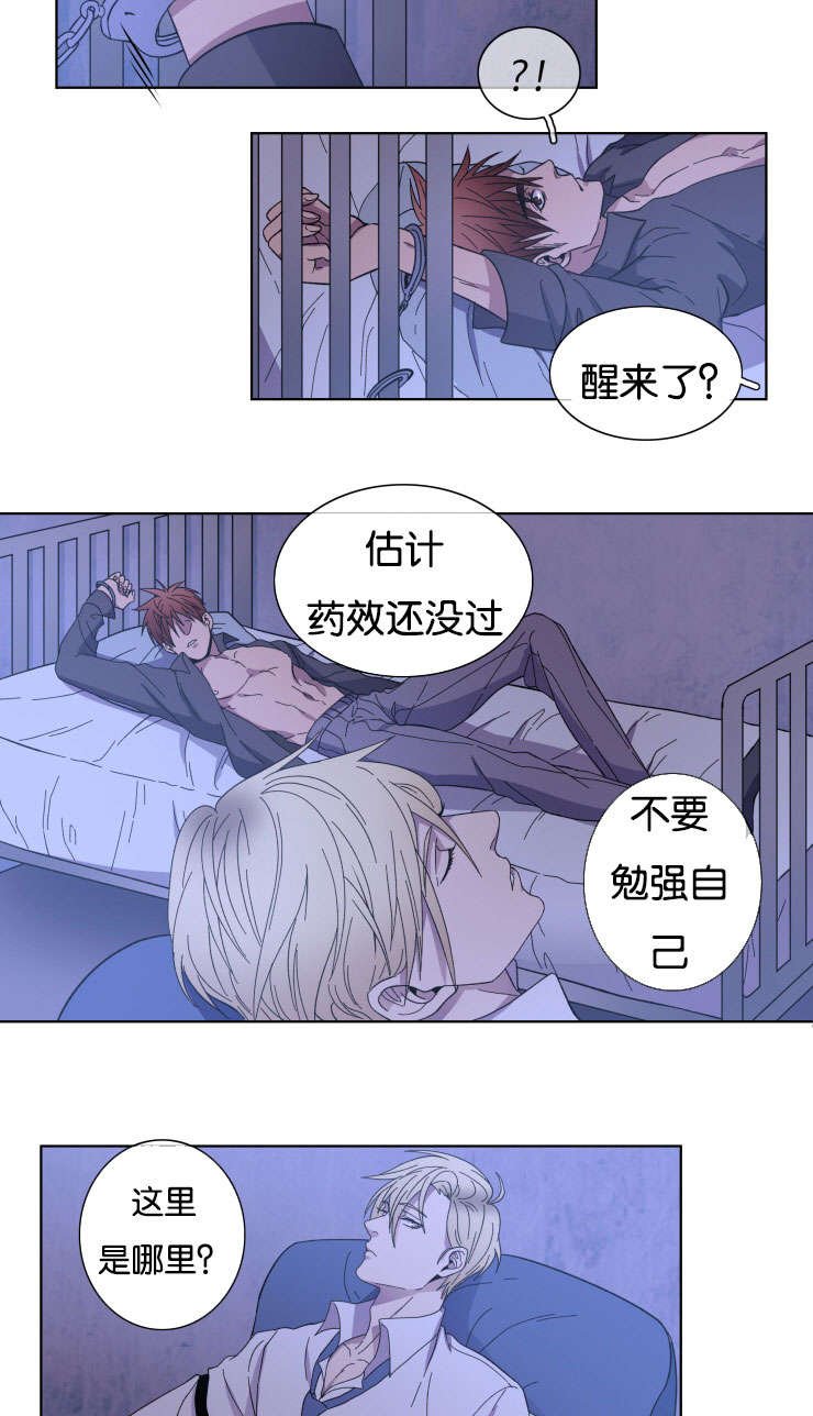 第24章：我的心意