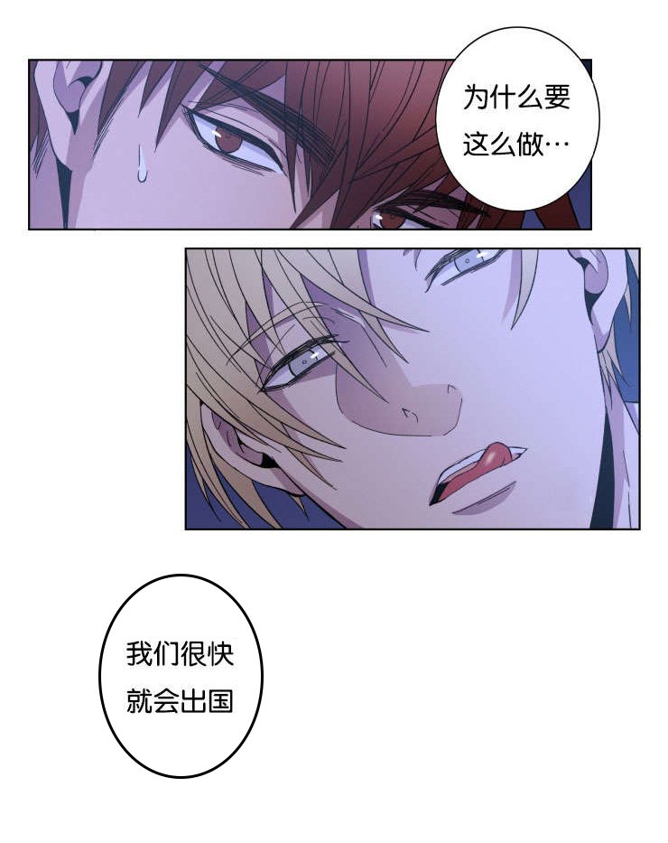 第24章：我的心意