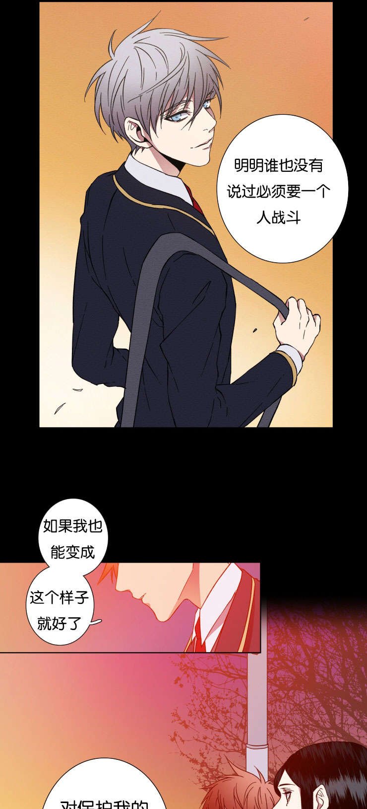 第29章：保护