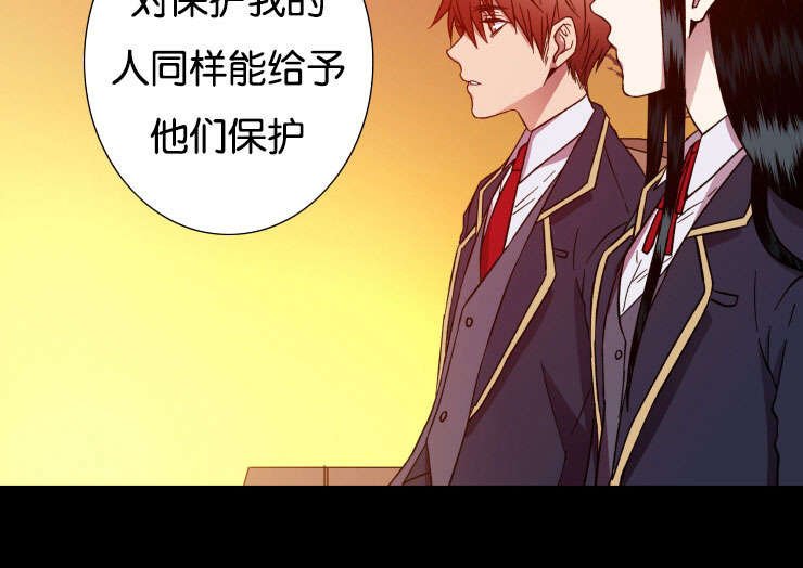第29章：保护