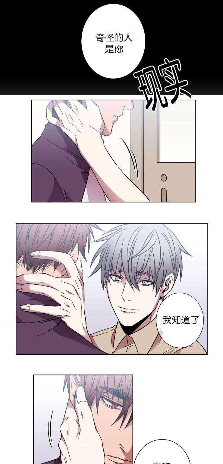 第50章：结束这一切