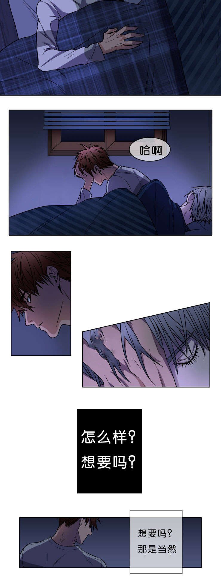 第6章：欣慰