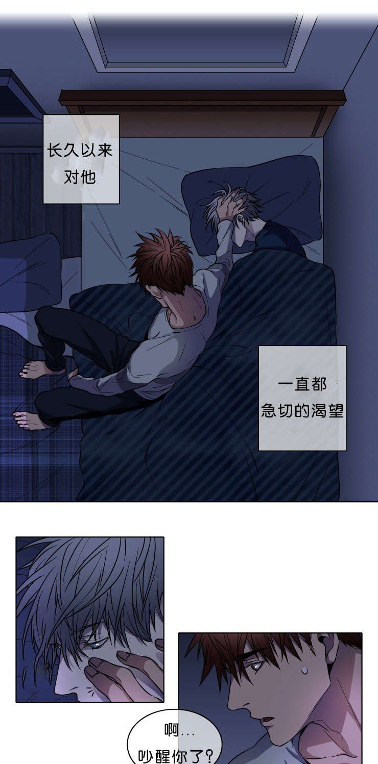 第6章：欣慰
