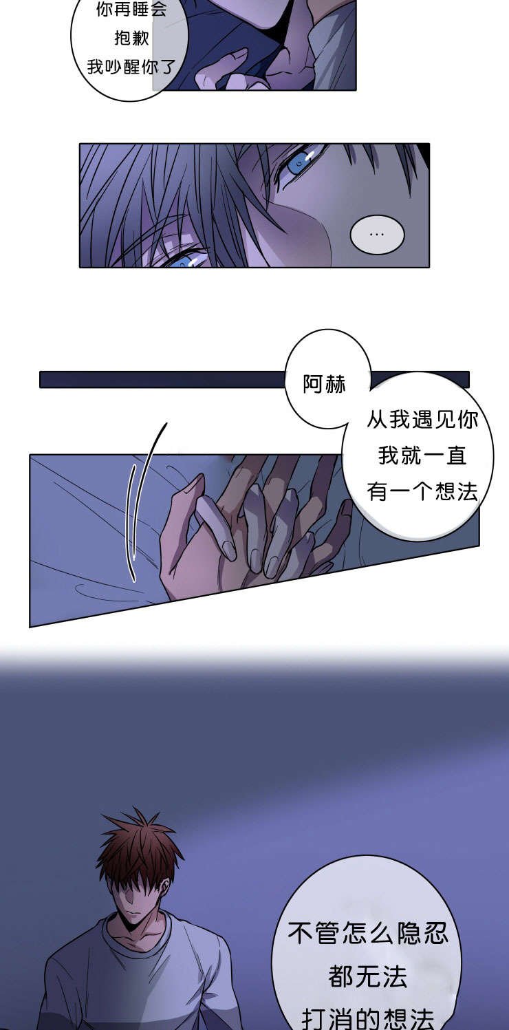 第6章：欣慰