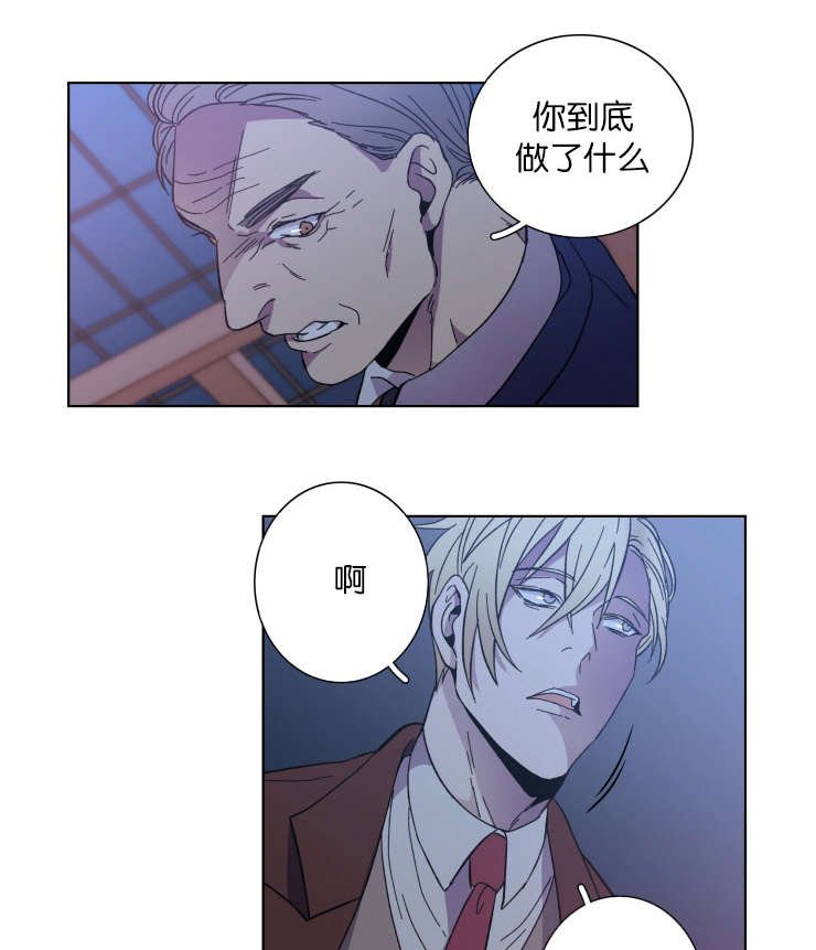 第62章：对比