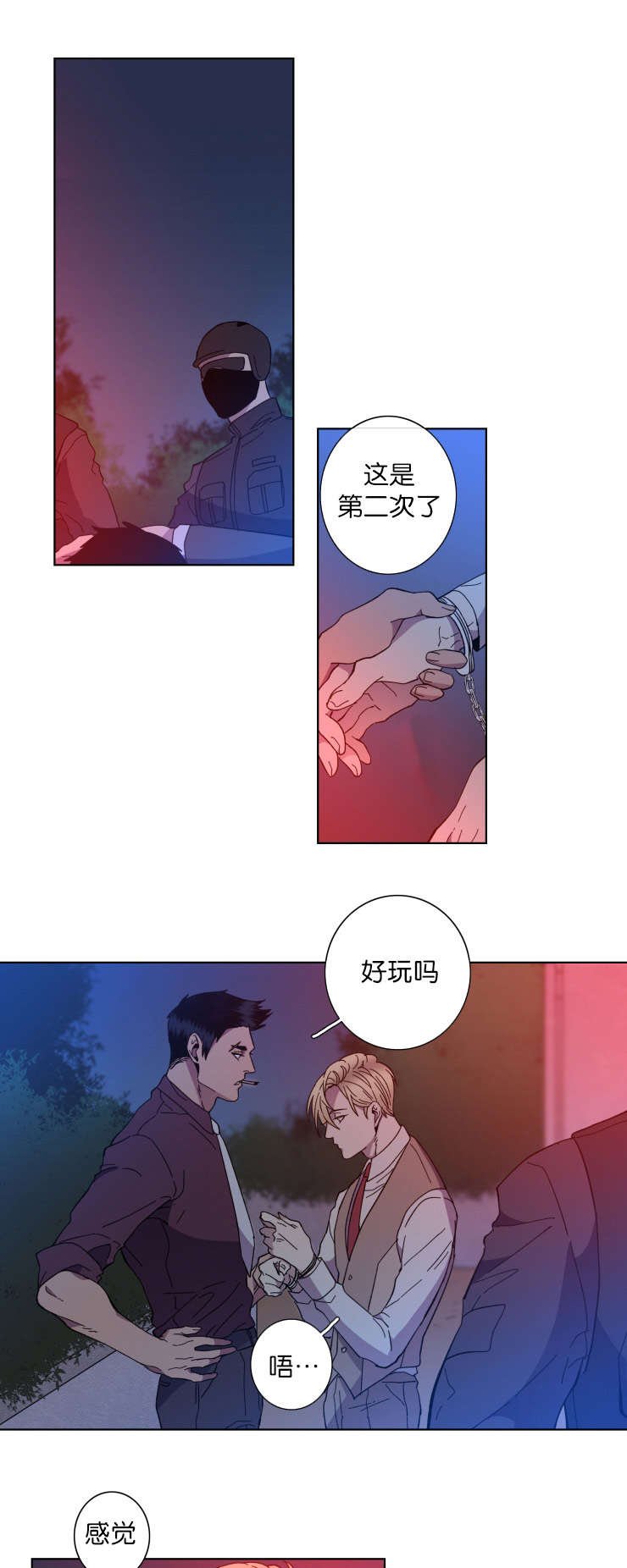 第62章：对比