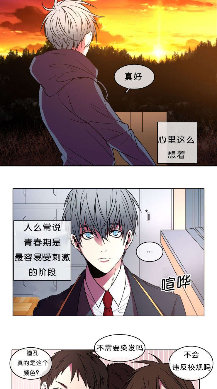 第7章：本意