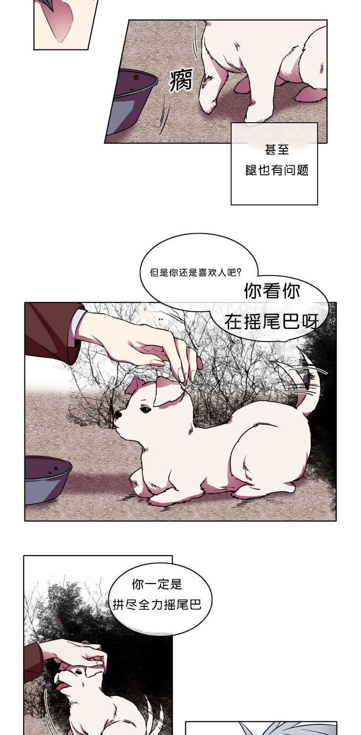 第7章：本意