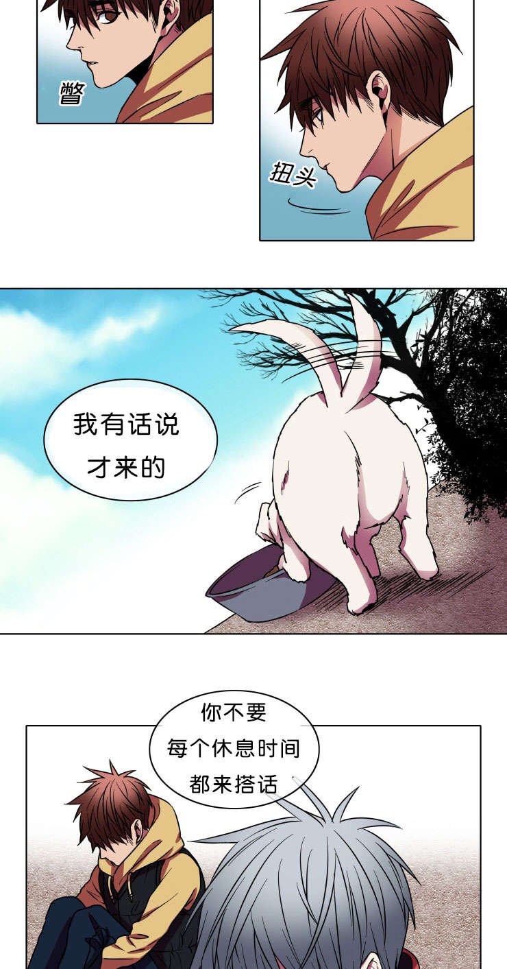 第8章：战斗