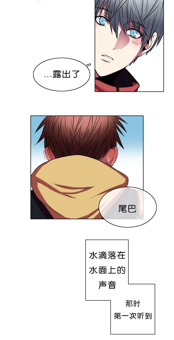 第8章：战斗