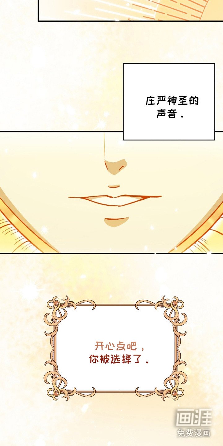 第1章：天使