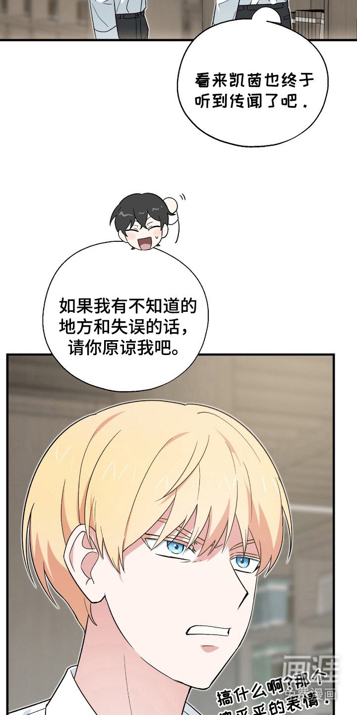 第11章：好奇