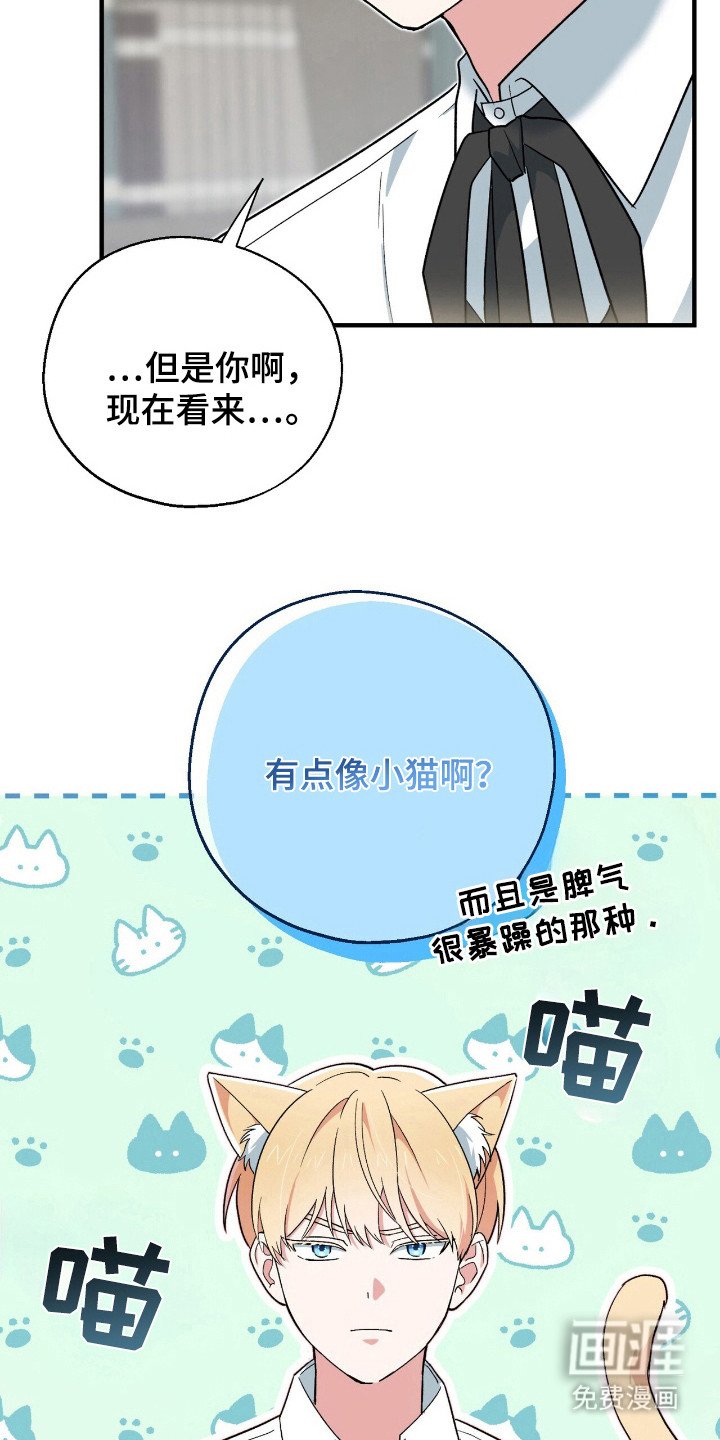 第12章：炸毛