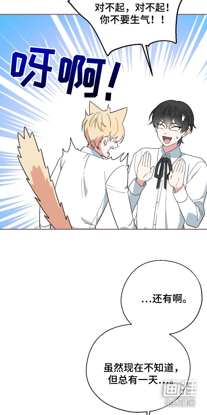 第12章：炸毛