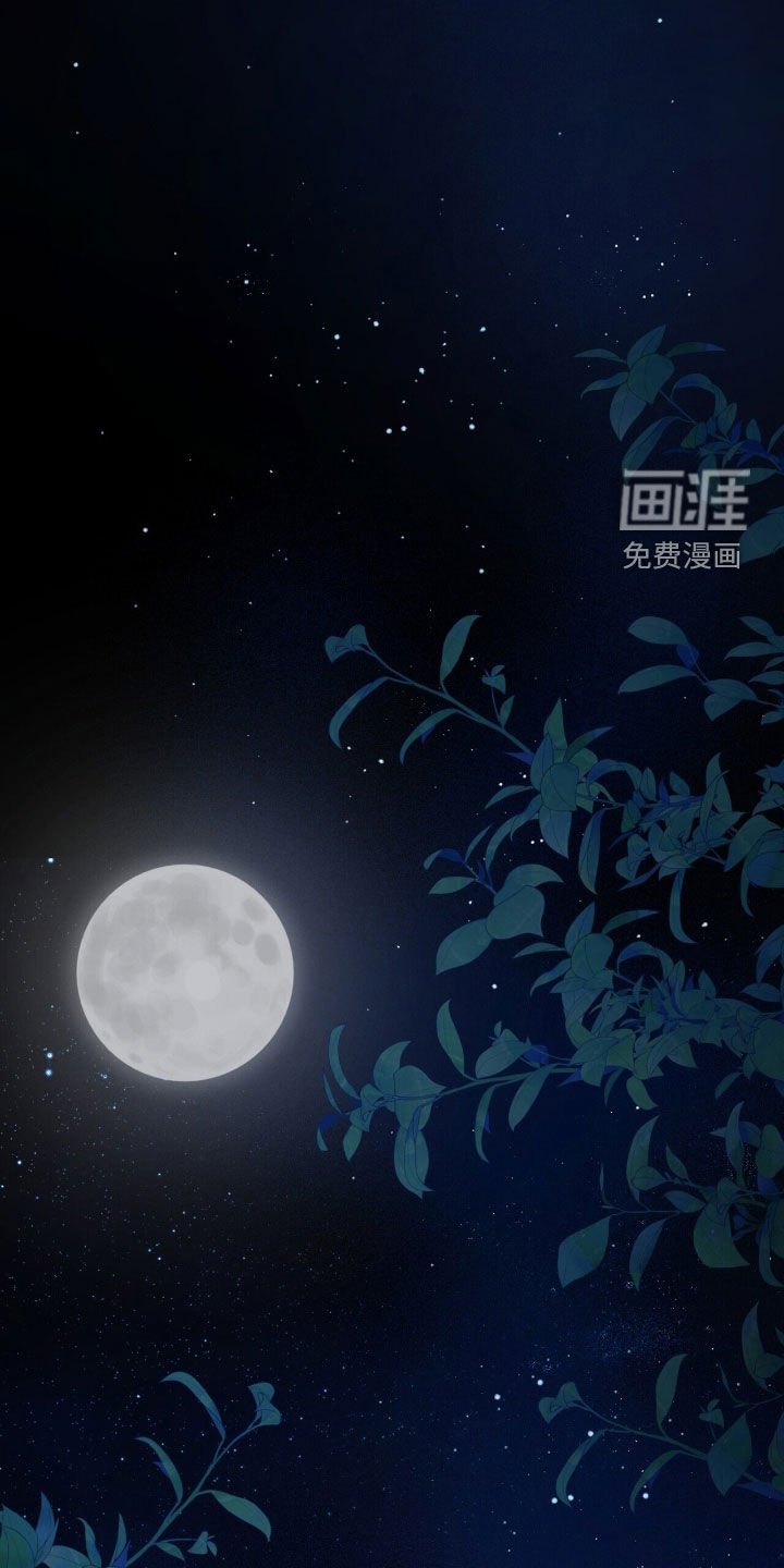第24章：黑魔法师