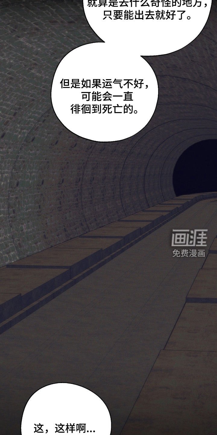 第28章：抓蜥蜴