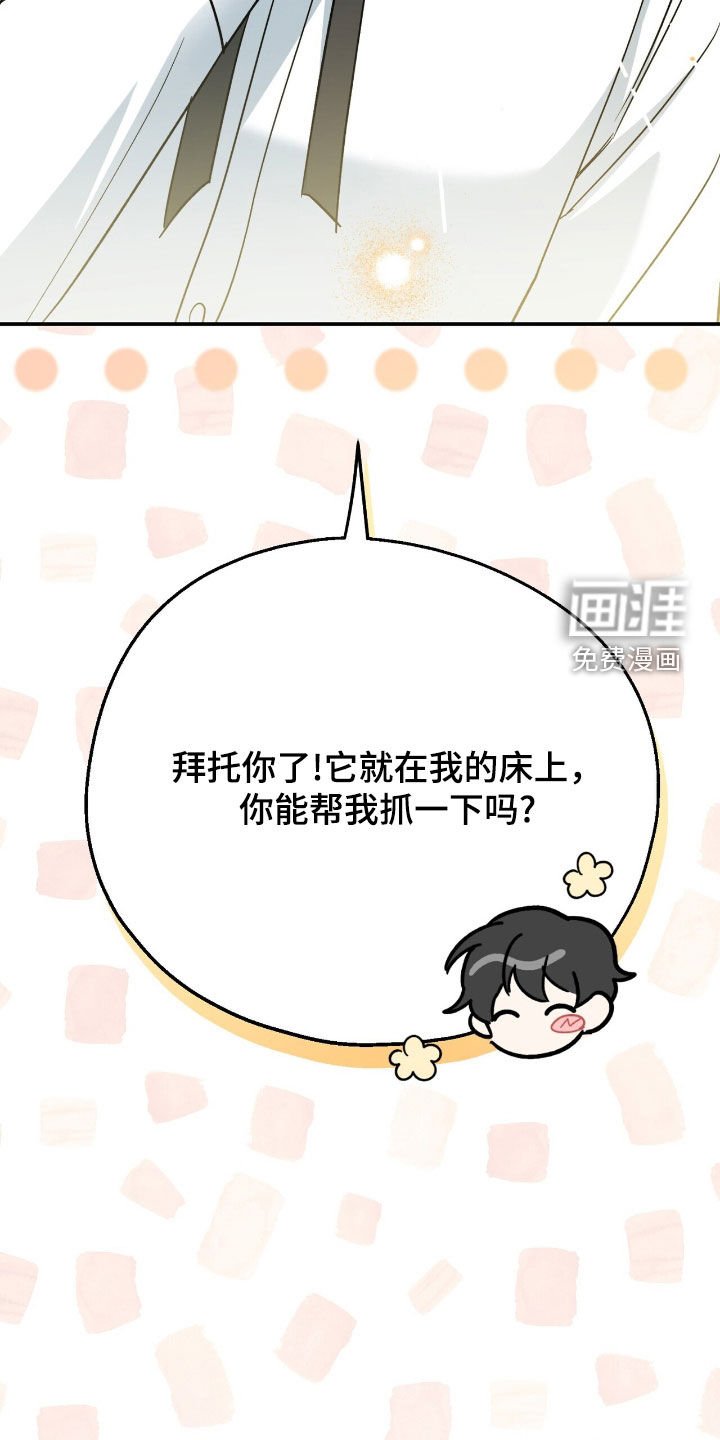 第28章：抓蜥蜴