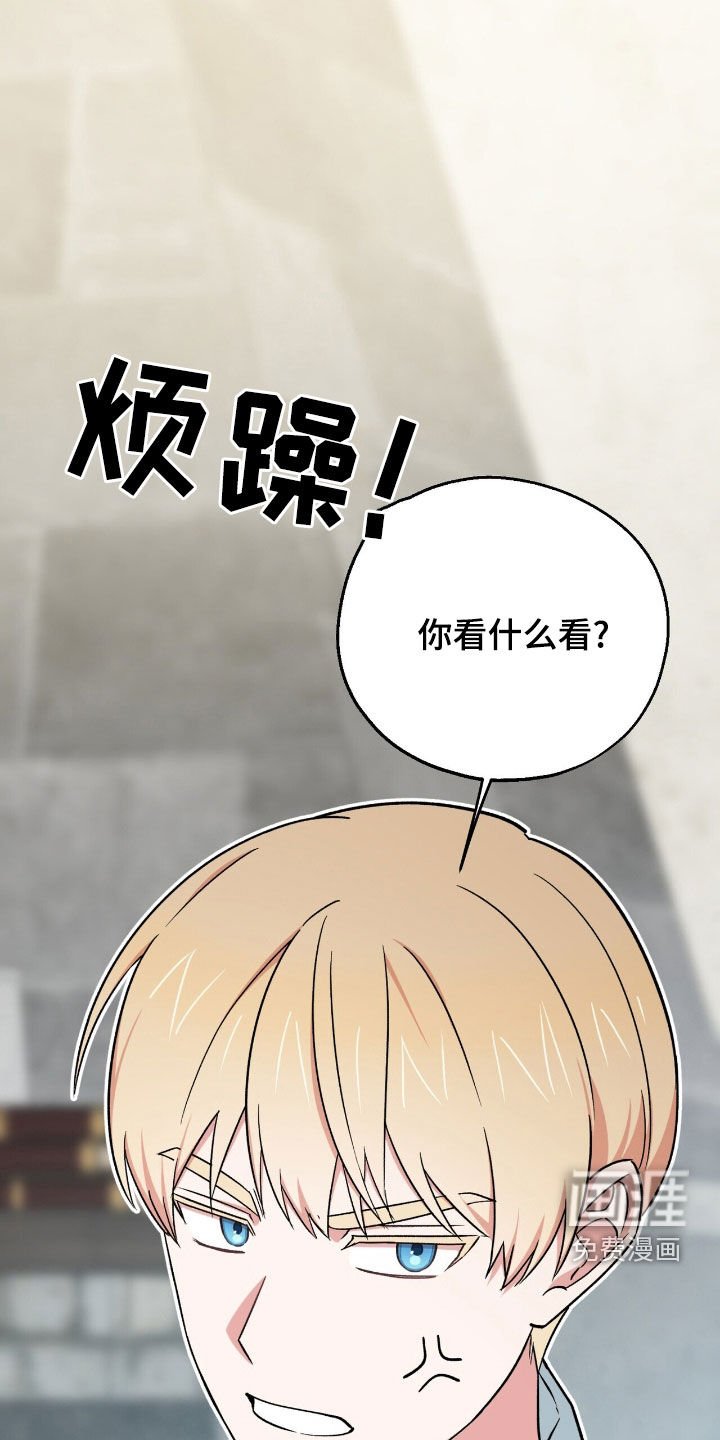 第29章：你是疯了吗