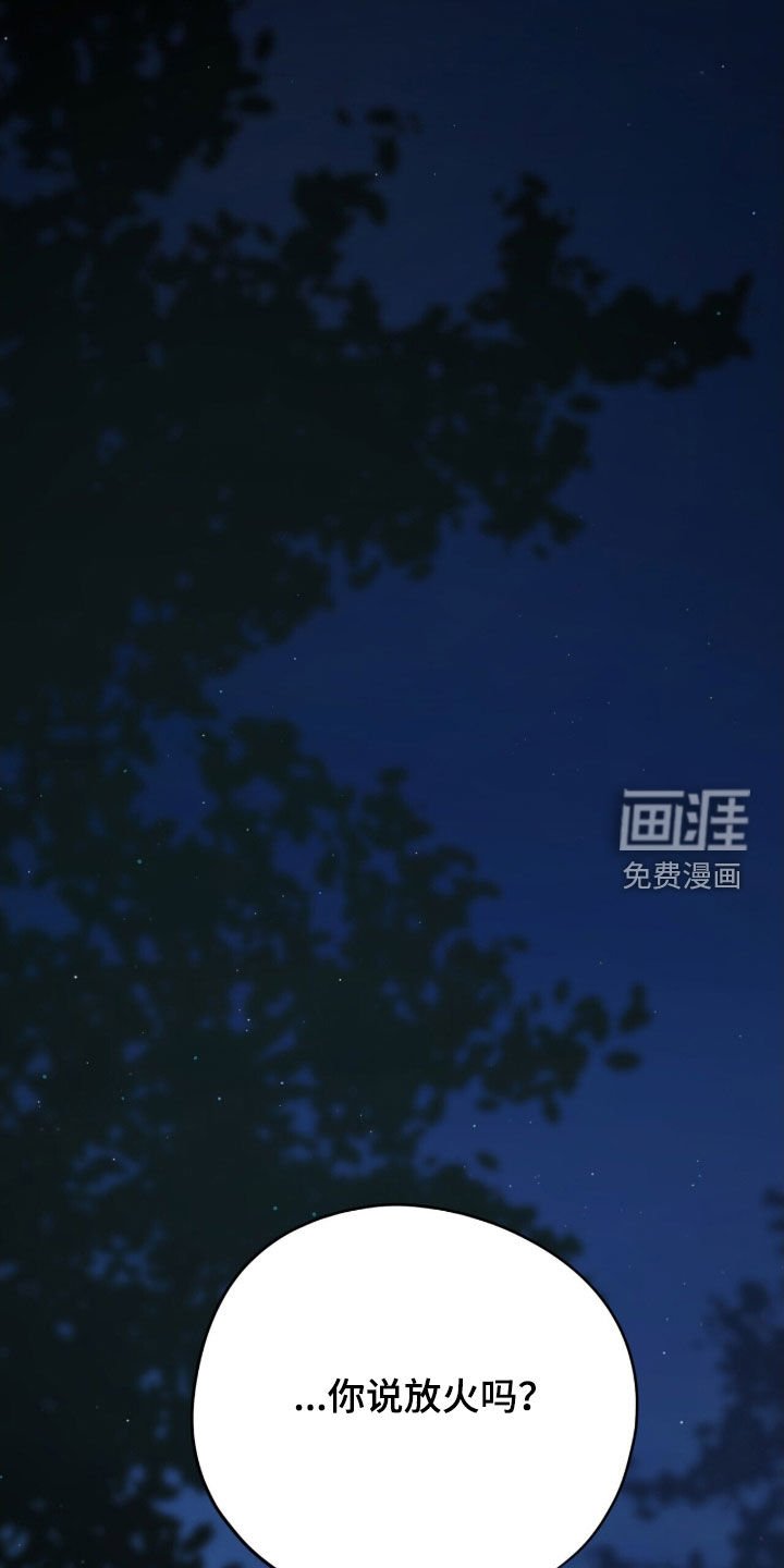 第46章：放火
