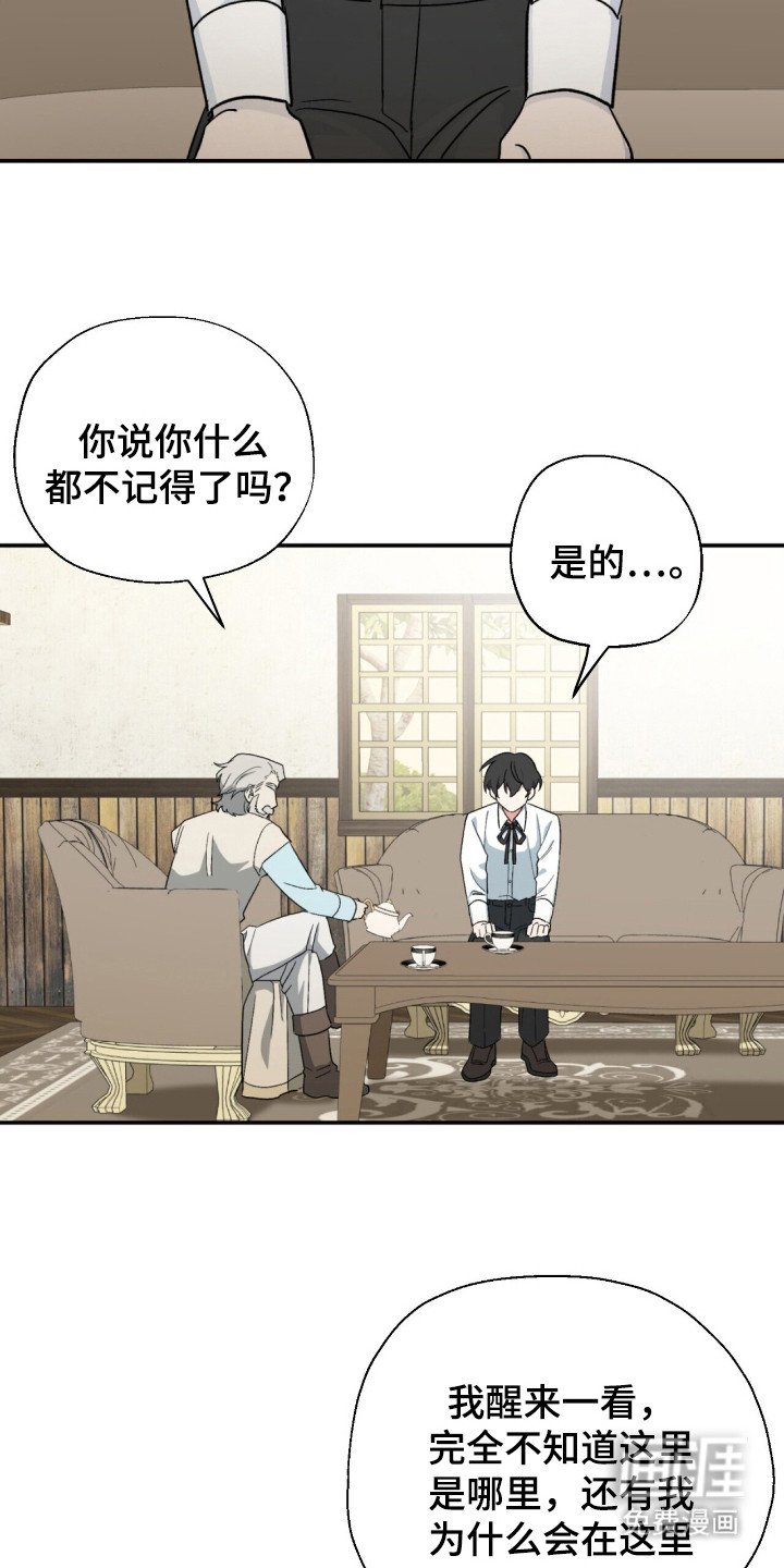 第5章：魔力