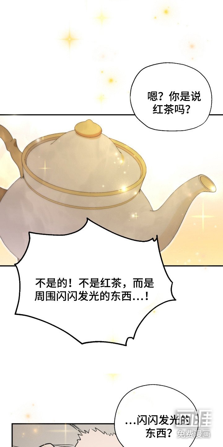 第5章：魔力